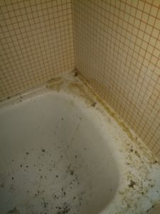 S.E.M.I photo remise en état salle de bain